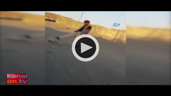Yavru köpeğe eziyet eden vicdansız sosyal medyayı ayağa kaldırdı!