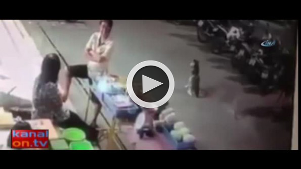 Bunu yapan insan olamaz: Göz göre göre böyle ezdi!