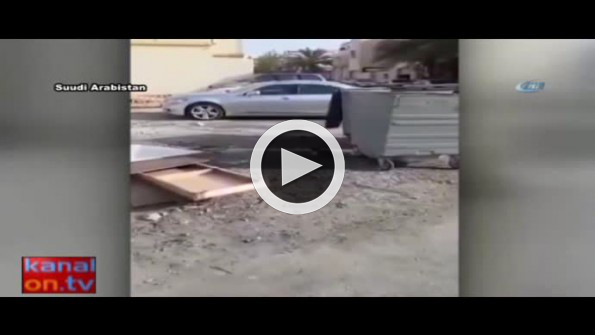 Amatör kuş avcısı gülümsetti