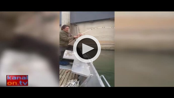 Nehirde devasa yayın balığı avı