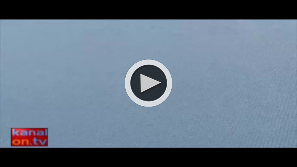 Eşek arısı bal arısını ortadan ikiye ayırdı