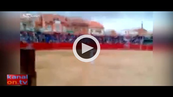 Boğayla şovun sonu kötü bitti!
