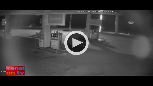 Akaryakıt istasyonunun davetsiz misafiri: Bozayı