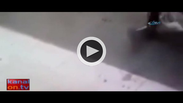 Öfkeli kedi adama böyle saldırdı
