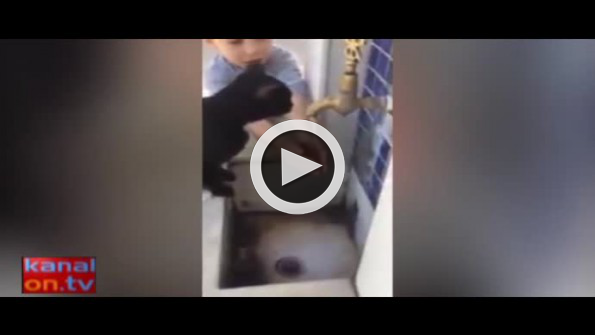 Kediye elleriyle su içiren minik çocuk