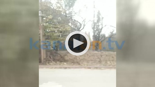 Konya’da 7 kişi elektrikli bisiklete bindi!