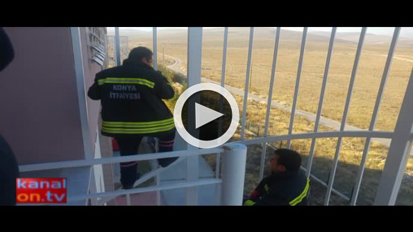 Konya’da kuş kurtarma operasyonu