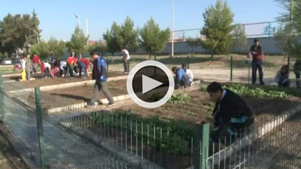 Zil çalınca oyuna değil ekip biçmeye koşuyorlar