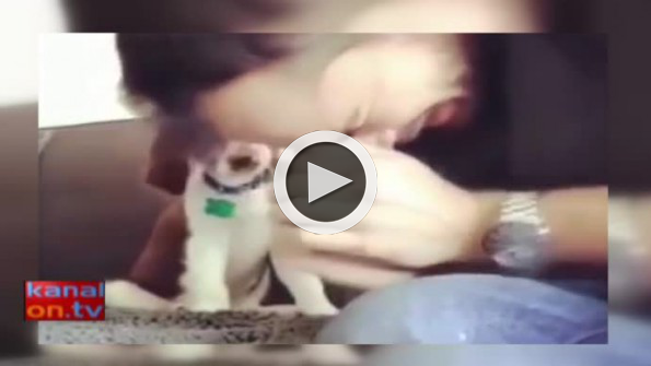 Sahibini ısırdığı için üzülen sevimli köpek