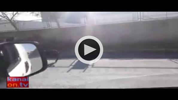 Suçüstü yakalanan köpek bakın ne yaptı
