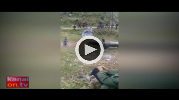 İki kızgın boğanın arasına asla girmeyin!