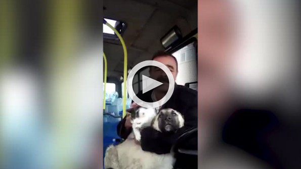 Hayvan sevgisinde farklı boyutlara ulaşan adam