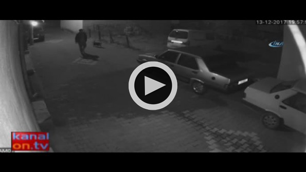 Sokak köpeğini silahla vuran cani kamerada