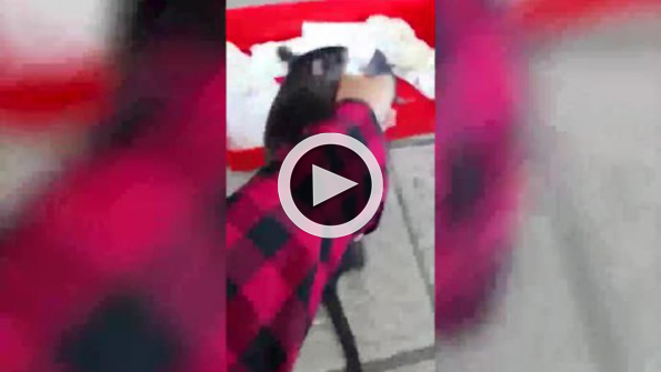 Evcil fare sahibine yavrusunu gösteriyor