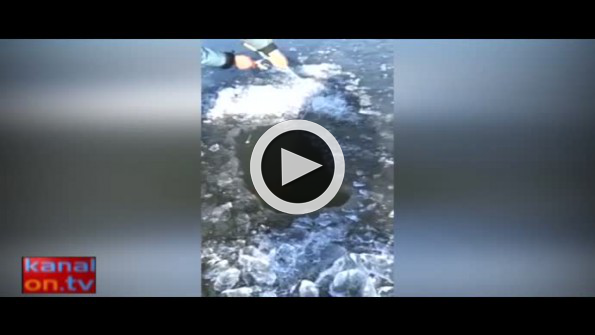 Öyle bir balık yakaladılar ki kendileri bile inanamadı!