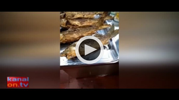 Kızarmış balık böyle canlandı!