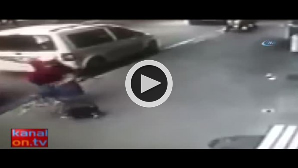 Deli yürek kedi kaldırımda yürüyen köpek ve sahibine böyle saldırdı