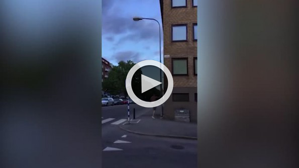 Elektrik direğinin tepesine tırmanıp barfiks çekti