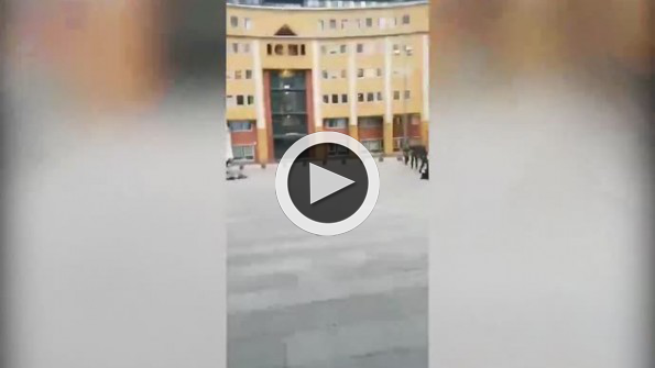 Fırtına yolda yürüyen insanları yerden yere vurdu!