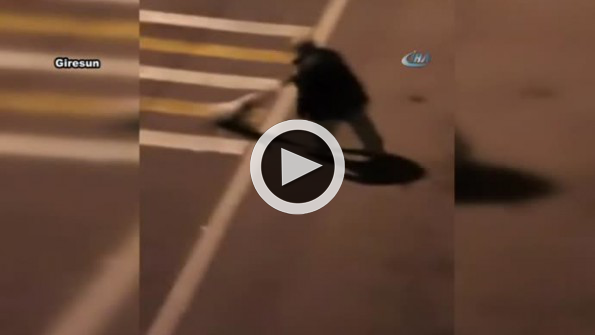 Baygın köpeği otoyola attı!