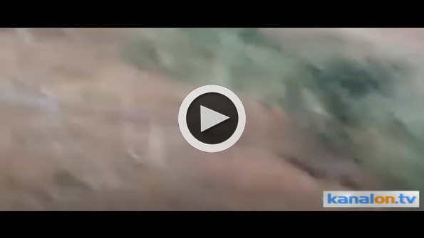 Ayının korkunç saldırısı kamerada!