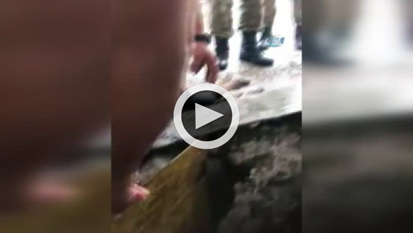 Boğulmak üzere olan yavru köpekleri Mehmetçik kurtardı