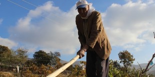 Konyalı 100 torun sahibi 88 yaşındaki Aşır dedenin örnek azmi