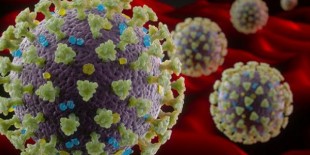 Koronavirüse karşı bağışıklığı korumanın yolları