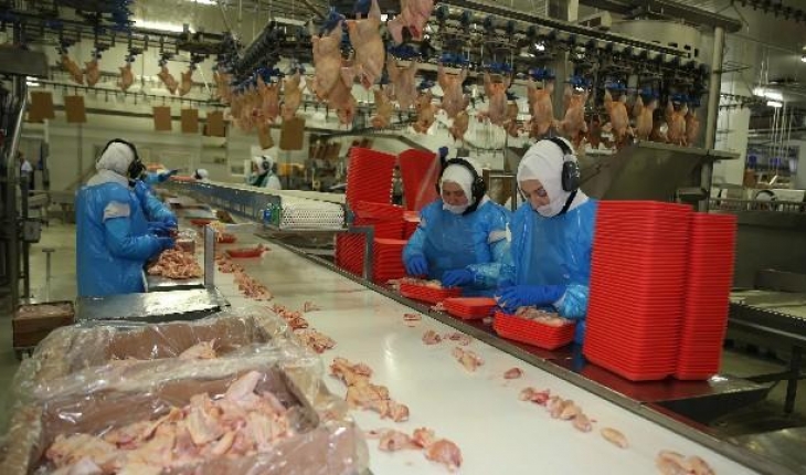 Türkiye’de geçen yıl 2,2 milyon ton tavuk eti üretildi
