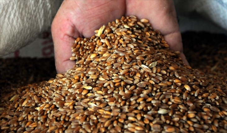 Tarım Bakanlığı’ndan ’Hindistan’dan buğday ithalatı’ iddiasına yalanlama
