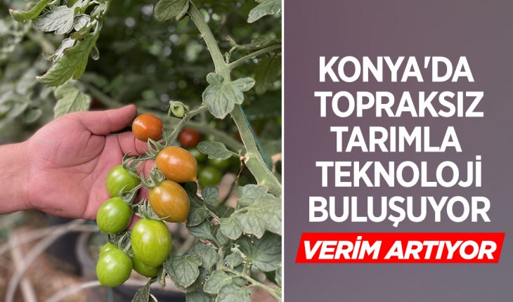 Konya’da topraksız tarımla teknolojiyi buluşturan çiftçi verimi de katlıyor