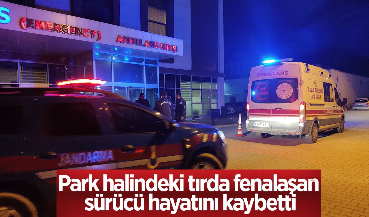 Park halindeki tırda fenalaşan sürücü hayatını kaybetti