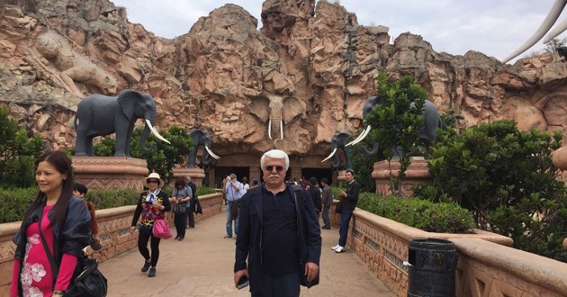 Sun City ve safari